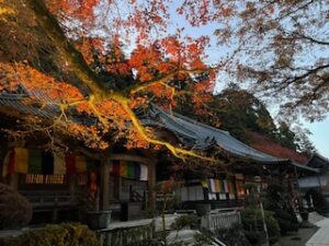 親睦歩こう会を開催しました